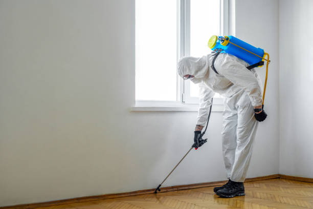Trusted North Fork, CA Pest Control Experts