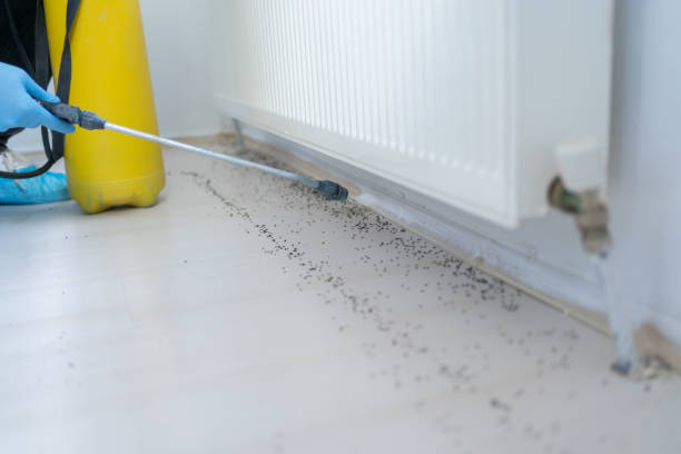 Best Pest Inspection Near Me  in North Fork, CA