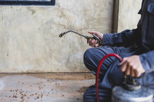 Best Best Pest Control Companies  in North Fork, CA