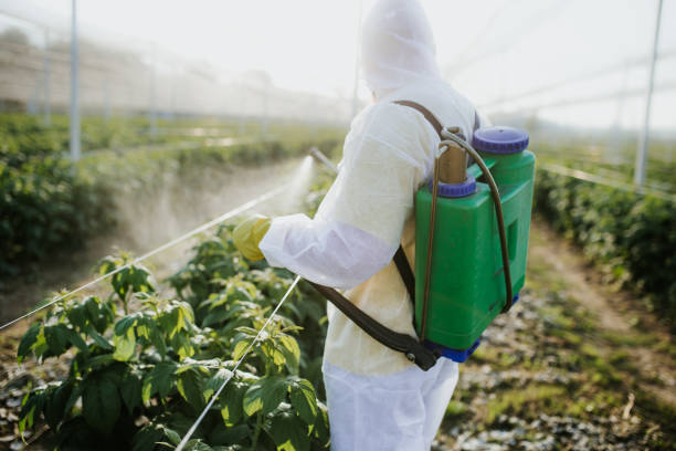 Best Local Pest Control Services  in North Fork, CA
